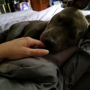 Meet your Posher, Tera